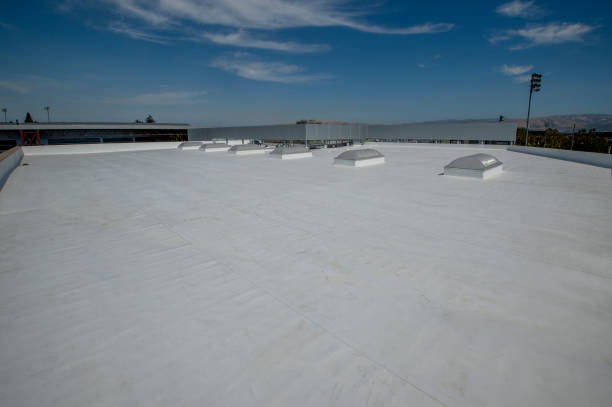 Best Steel Roofing  in Kensington, MD