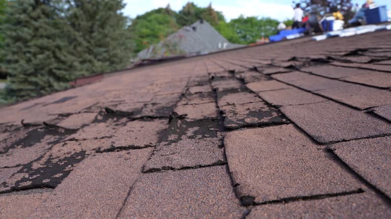 Best Asphalt Shingles Roofing  in Kensington, MD